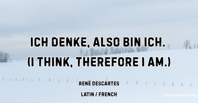 René Descartes Quotes