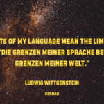 Ludwig Wittgenstein quotes