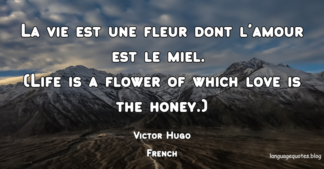 Victor Hugo Quotes