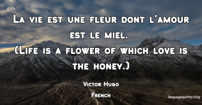 Victor Hugo Quotes
