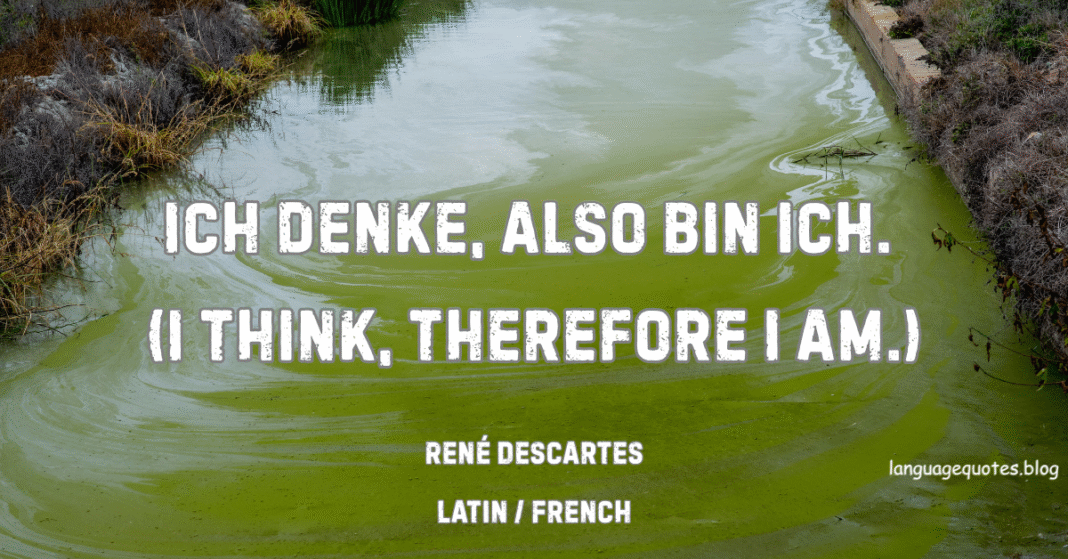 René Descartes Quotes