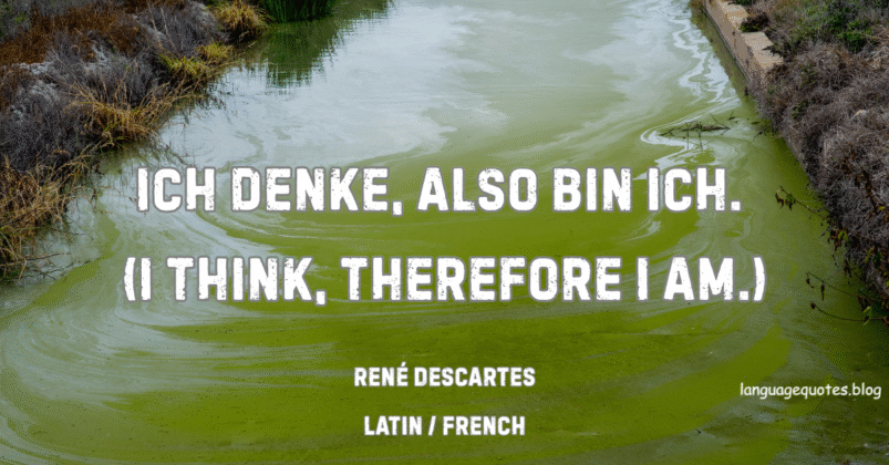 René Descartes Quotes